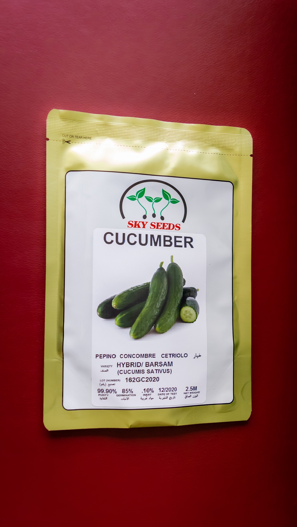 CUCUMBER