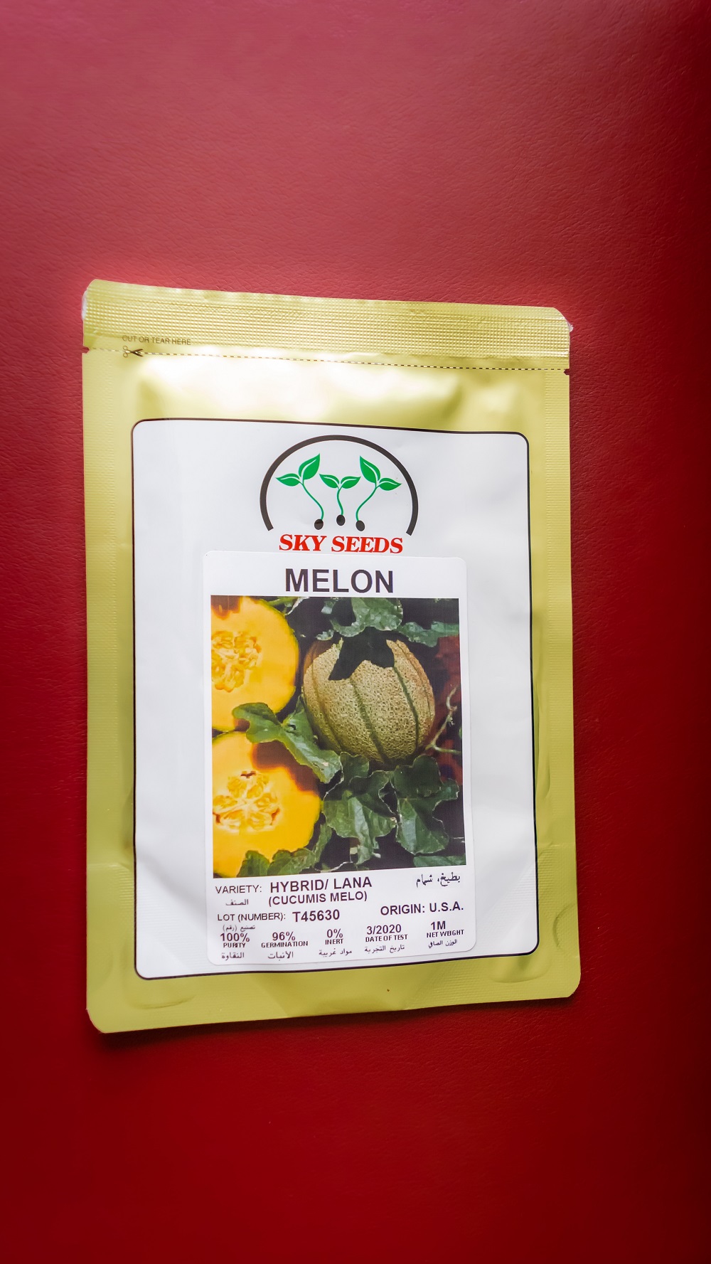 MELON | Cucumis Melo